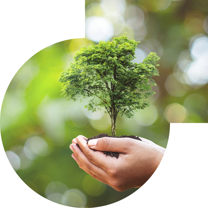 关怀人类、文化、环境与社会